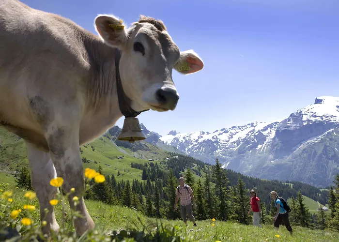 Berglodge Restaurant Ristis Engelberg
